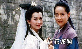 叶童赵雅芝演过的电视剧