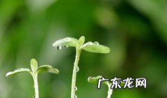 为什么说春天是个充满希望的季节 为什么说春天是个充满希望的季节英语