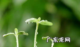 为什么说春天是个充满希望的季节 为什么说春天是个充满希望的季节英语