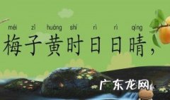 三衢道中讲的是什么天气 三衢道中点明季节天气的诗句是什么