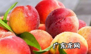 桃子是哪个季节开放的 桃子是什么季节开放的