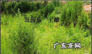 田园乐其四古诗中提到的季节有什么 田园乐其四写了哪些乐