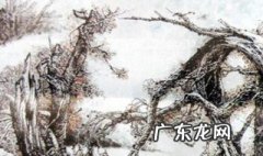 箭在风樯各苦辛别时冰雪到时春是什么季节 大家可以看看