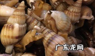 螺牛的功效与作用 螺的功效与禁忌