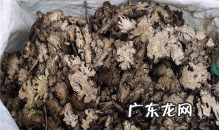 川胆的功效与作用禁忌症 川胆的功效与作用禁忌