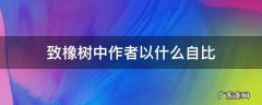 致橡树表达了什么 致橡树中作者以什么自比