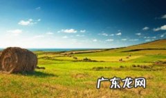 2008年5月6日是什么季节 2008年5月6日出生是什么命