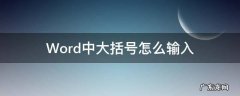 Word中大括号怎么输入 word怎样输入大括号