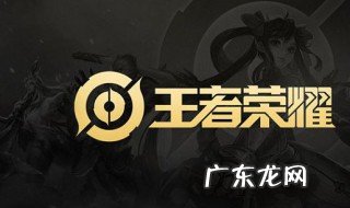 王者荣耀瑶可以带狂暴吗怎么出装 王者荣耀瑶可以带狂暴吗