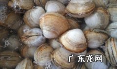 什么人不能吃美贝欣胶囊 什么人不能吃美贝