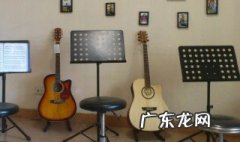 十岁学什么乐器比较合适 十岁学什么乐器比较合适女生