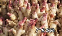 盆栽的生姜怎么种植方法 盆栽的生姜怎么种