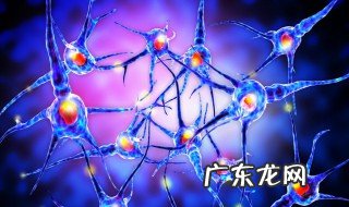植物神经功能紊乱是什么意思 女性植物性神经紊乱五大症状