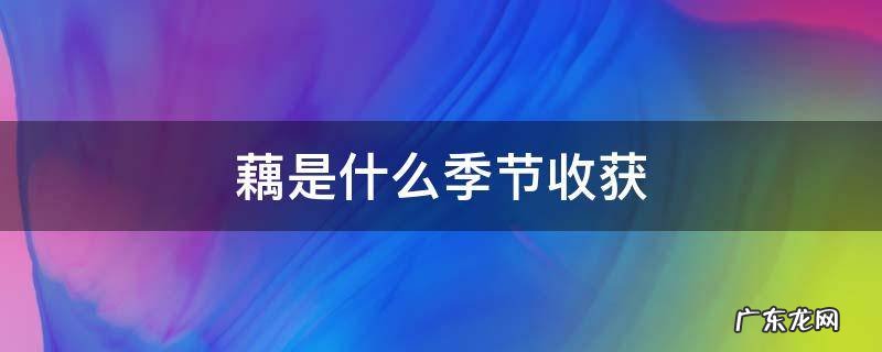藕是什么季节收获 藕是哪个季节收获