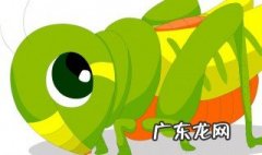蝗虫是什么样的虫子图片 蝗虫是什么样的虫子