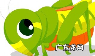 蝗虫是什么样的虫子图片 蝗虫是什么样的虫子