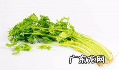 芹菜应该怎么种植 芹菜怎么种植在家