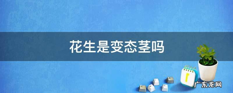 花生是不是植物的茎 花生是变态茎吗