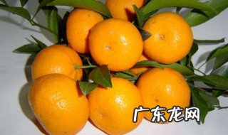 蜜橘籽怎么种植方法 蜜橘籽怎么种
