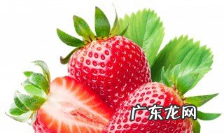 草莓大棚怎么养 草莓大棚怎么养殖