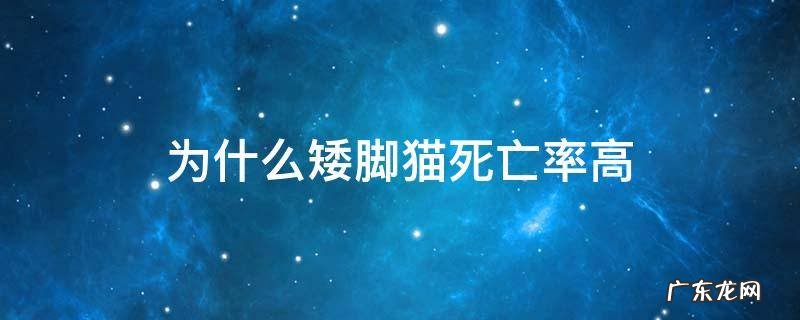 矮脚猫存活率为啥这么低 为什么矮脚猫死亡率高