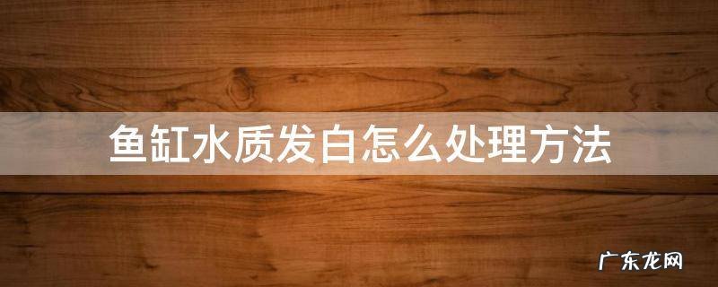 鱼缸水浑浊发白怎么处理 鱼缸水质发白怎么处理方法