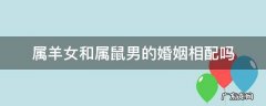 属羊女和属鼠男的婚姻相配吗 属羊女和属鼠男婚配如何