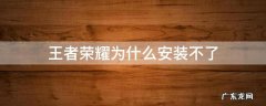 王者荣耀为什么安装不了 王者荣耀为什么安装不了怎么办