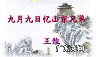 九月九日忆山东兄弟整首诗的意思是 《九月九日忆山东兄弟》这首古诗的意思是什么