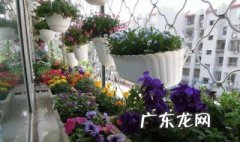 养花买怎样的土 养花的土什么样的好