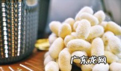 桑蚕什么季节才有 桑蚕是什么季节