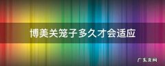 博美经常关在笼子没事吧 博美关笼子多久才会适应