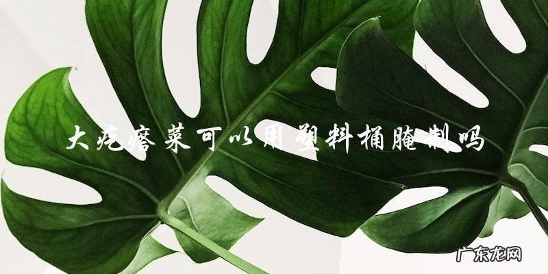 大疙瘩菜可以用塑料桶腌制吗