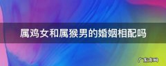 属猴女和属鸡男相配婚姻如何 属鸡女和属猴男的婚姻相配吗