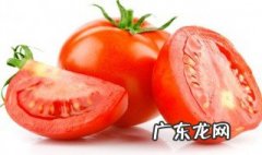 番茄需要怎么种植方法 番茄需要怎么种