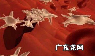 血小板有凝血和止血功能 血小板具有凝血作用吗