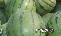 西瓜怎么打尖打叉 西瓜怎么打尖