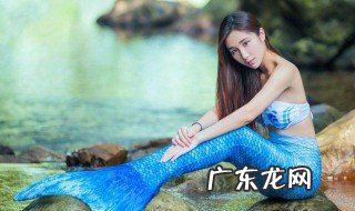 美人鱼是指海洋中的哪种动物 美人鱼指的是哪种海洋动物