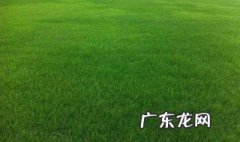 春季解冻后草坪怎样养护呢 春季解冻后草坪怎样养护