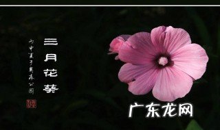 三月算哪个季节 三月是什么季节