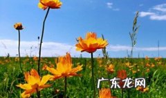 七月是澳大利亚的什么季节 七月在澳大利亚是什么季节