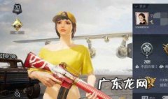 吃鸡怎么看队友的kd 吃鸡怎么看队友的淘汰分