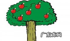 老大爷种苹果树这篇短文讲了什么样的故事 老大爷种苹果树这篇短文讲了什么