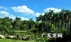 东南亚的热带雨林气候主要分布在哪里 东南亚有什么特点