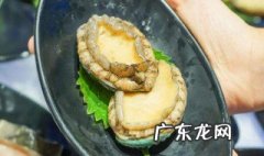 生蚝壳是怎么处理的 生蚝壳处理方法