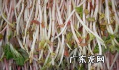 男人吃鱼腥草的好处 女人吃鱼腥草的好处