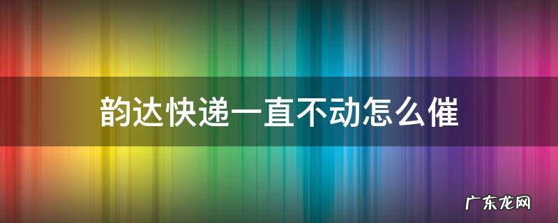 韵达快递一直不动怎么催 韵达快递不动了怎么催单