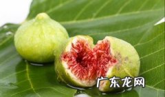 无花果为什么被叫做无花果蚂蚁庄园 无花果为什么被叫做无花果