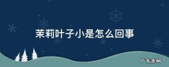 茉莉叶子少怎么回事 茉莉叶子小是怎么回事