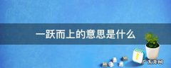一跃而上的意思是什么 一跃而上的意思是什么在诗歌太阳中指的是